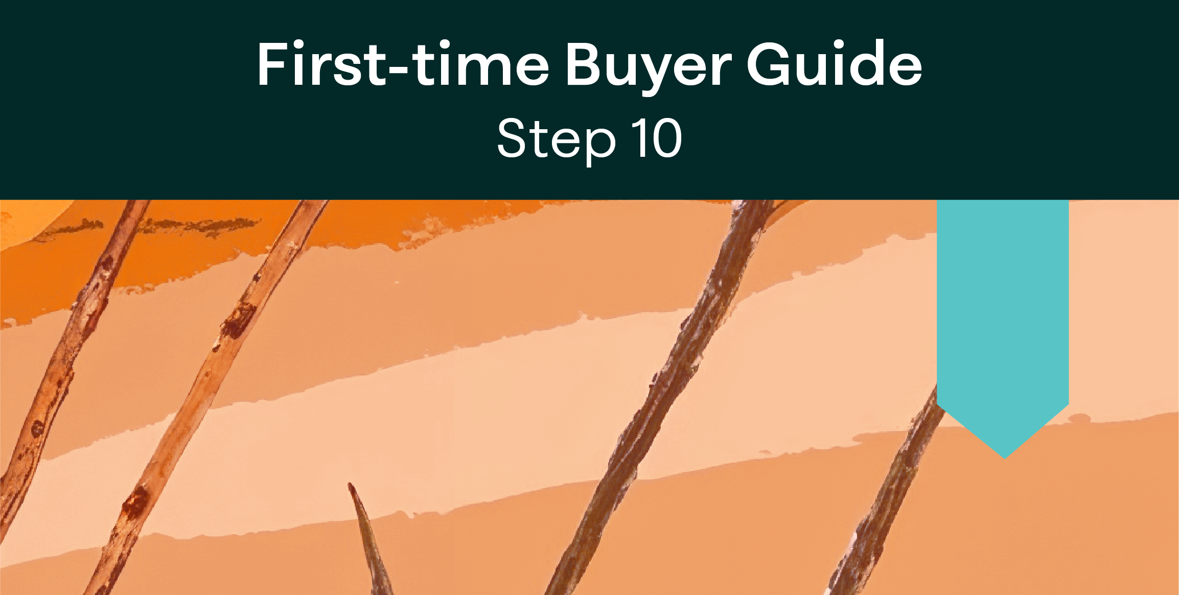 First-time Buyer Guide: Step 10